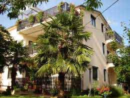 Umag Ba�anija - Apartman Szoba - Apartmani Doc ..